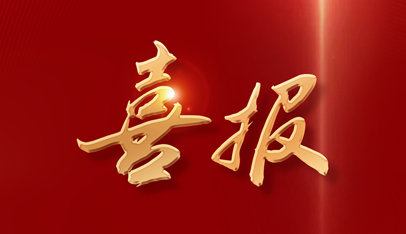 喜讯！伟德国际1946官网再度蝉联2025广东企业500强殊荣！